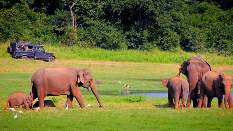 Periyar 02- Days Tour with Nature Walk and Elephant Bath - Key Points