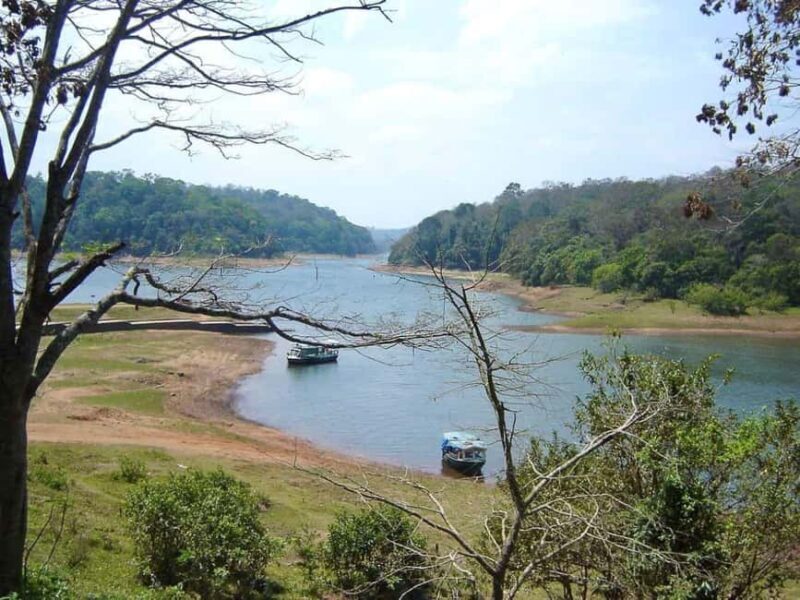 Periyar Wildlife Sanctuary Tour (02 Nights / 03 Days) - An In-Depth Look at the Periyar Wildlife Sanctuary Tour