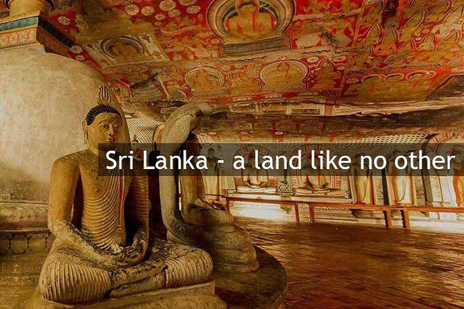 Personal Driver For Your Two Weeks Round Tour In Sri Lanka - The Practical Side: How It Works