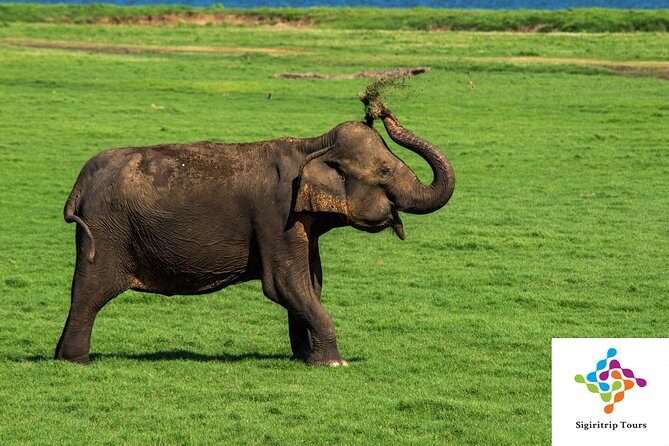 Personal Driver For Your Two Weeks Round Tour In Sri Lanka - FAQ