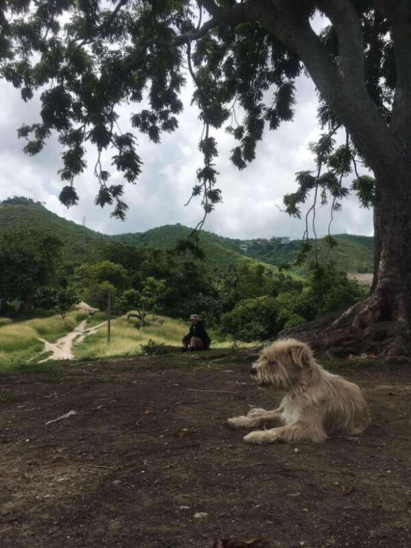 Personal Guide to Starbuk's Banawa, Cebu City - Who Will Love This Tour?