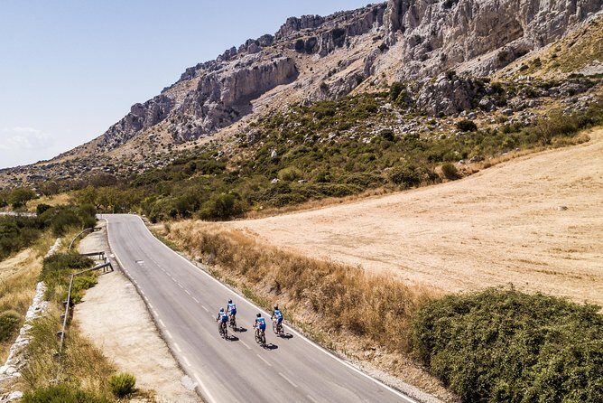 Personalised Road Bike Tour in Malaga - Bike Options and Personalization