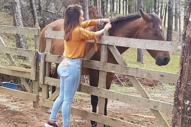 Personalized Beach Adventure Near Jaco - Who Will Love This Tour?