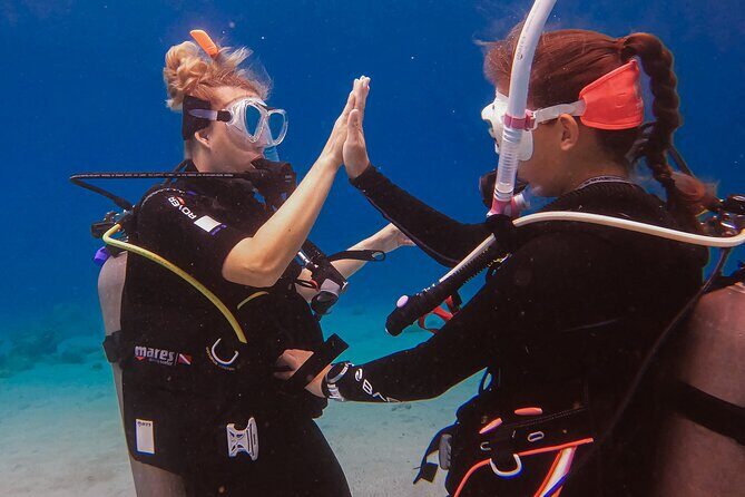Personalized Discover Scuba Dive Experience in Curaçao - Final Thoughts: Who Should Book?