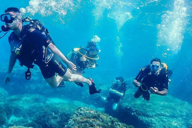 Personalized Diving and Snorkeling in Riviera Maya - Key Points