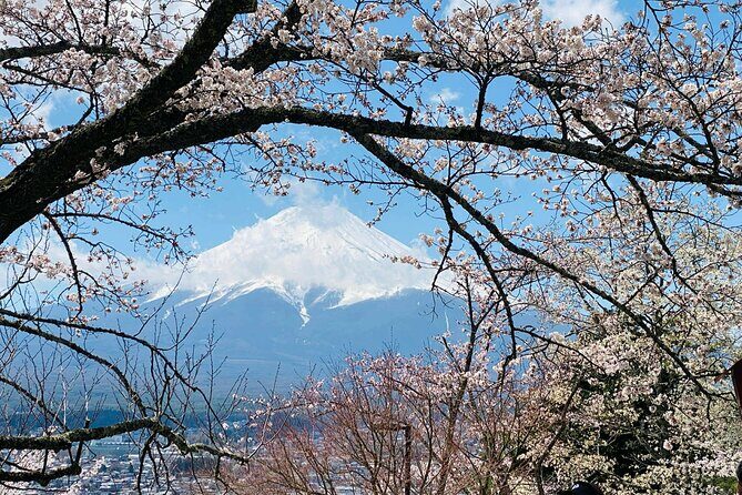 Personalized Mount Fuji Experience Customizable Full Day Trip - In-Depth: What the Tour Offers and Why It Matters