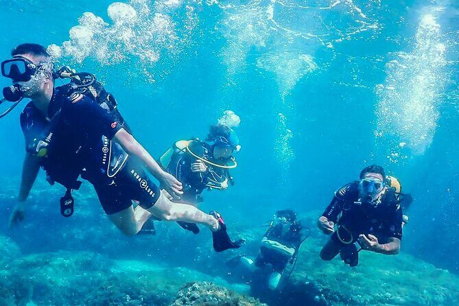 Personalized Snorkeling and Diving Experience in Riviera Maya - Personalized Snorkeling and Diving Experience in Riviera Maya: A Detailed Review