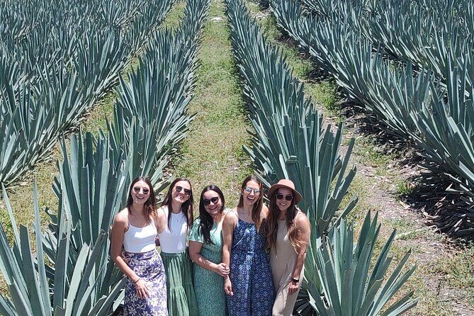 Personalized Tour to Hierve el Agua and Mezcal Distillery - Why This Tour Is a Good Choice