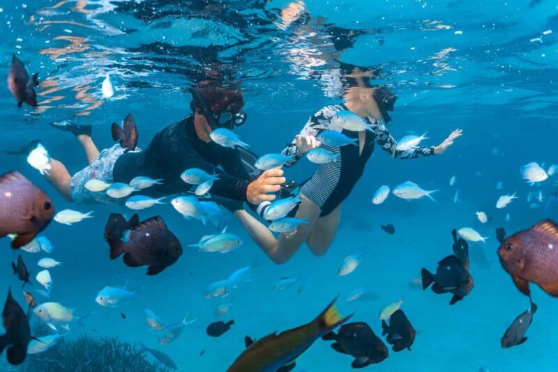 Perth: 7 Day Exmouth Explorer & Ningaloo Reef Return Perth - Who Is This Tour Best For?