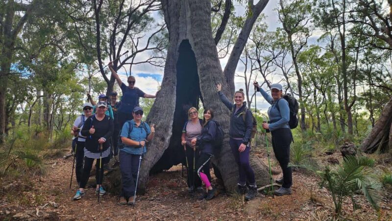 Perth: Bibbulmun Track Hiking Experience with Lunch - Practical Tips for Your Trip
