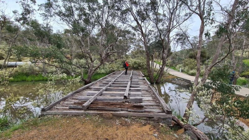 Perth: Bickley Valley Hiking Experience with Morning Tea - Key Points