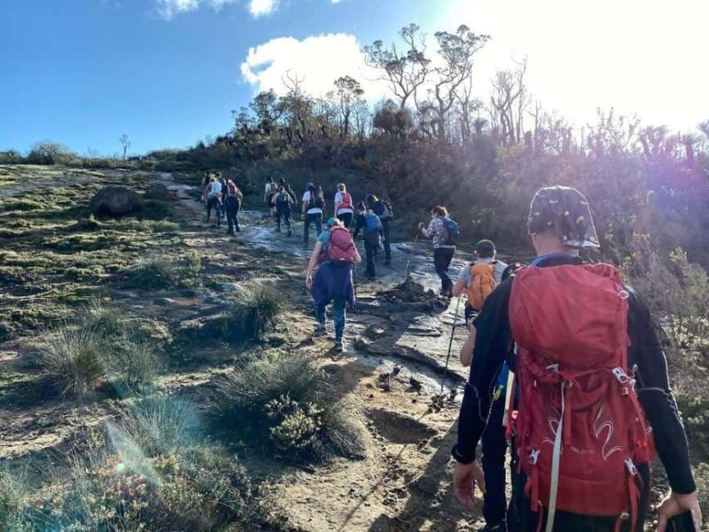 Perth: Darling Range Twin Peaks Hike with Morning Tea - Key Points