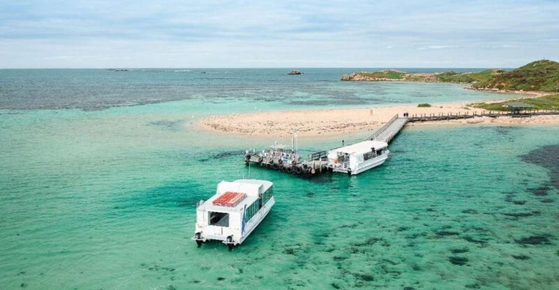 Perth: Dolphin, Sealion & Wildlife Cruise with Lunch - Final Thoughts