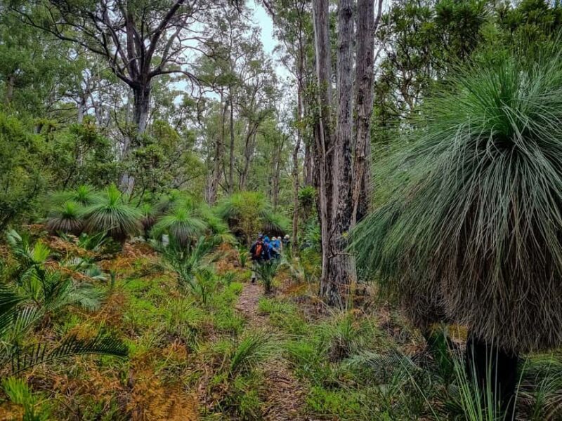 Perth: Dwellingup Train, Trails, and Woodfired Delights Tour - An In-Depth Look at the Dwellingup Experience