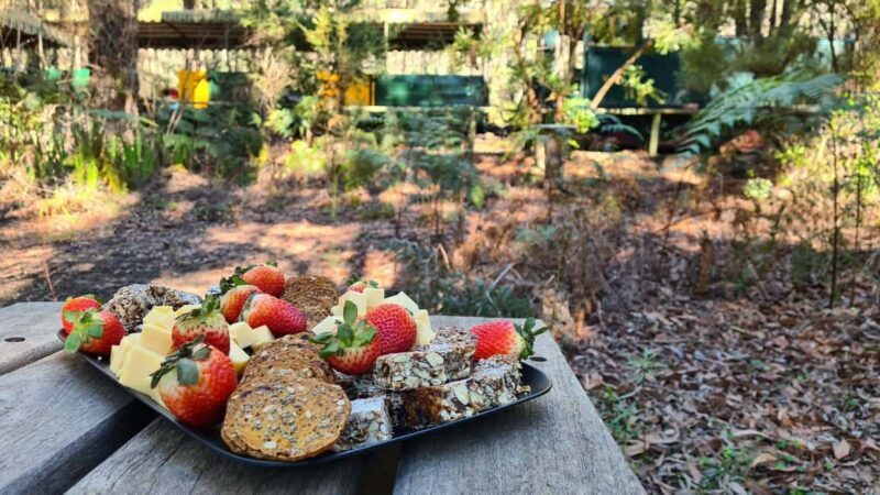 Perth: Dwellingup Train, Trails, and Woodfired Delights Tour - Who Should Consider This Tour