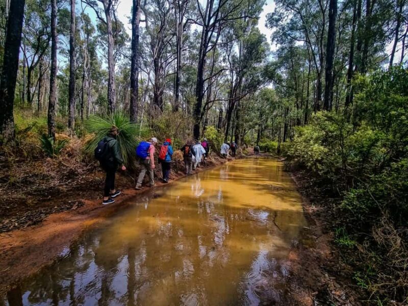 Perth: Dwellingup Train, Trails, and Woodfired Delights Tour - The Sum Up