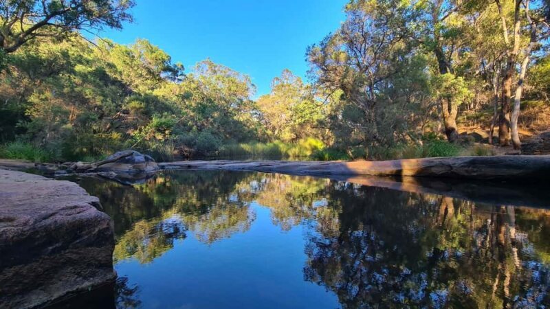 Perth: Hidden Gems of Perth Hiking Tour with Lunch - Discover Perth’s Hidden Natural Treasures with a Guided Hike and Lunch