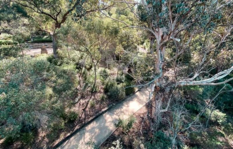 Perth: Kings Park Botanicals & Beyond Guided Hike - Exploring Perth’s Green Heart: Kings Park Botanicals & Beyond Guided Hike