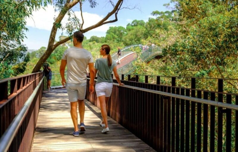 Perth: Kings Park Botanicals & Beyond Guided Hike - Key Points