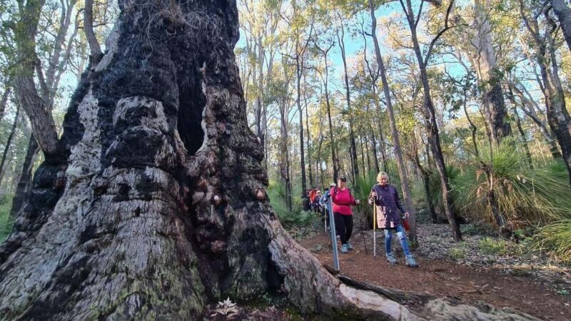 Perth: Kitty's Gorge Waterfall Hike - Key Points