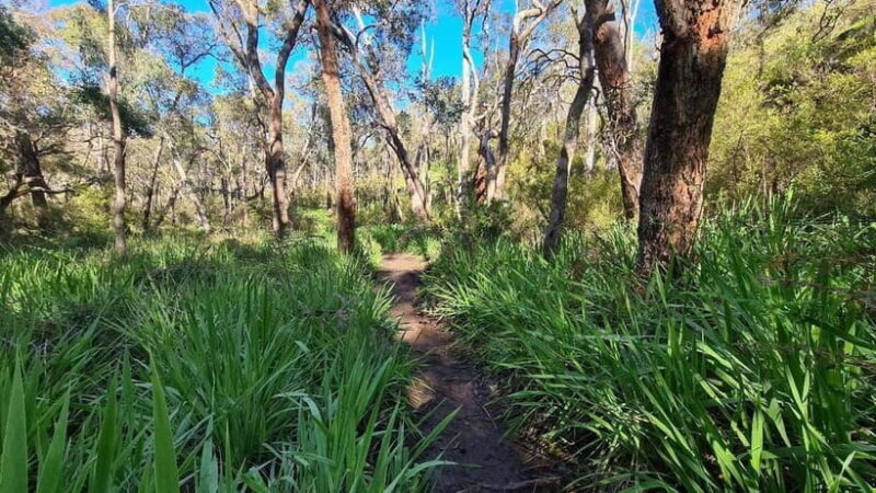 Perth: Kitty's Gorge Waterfall Hike - An In-Depth Look at the Kittys Gorge Waterfall Hike