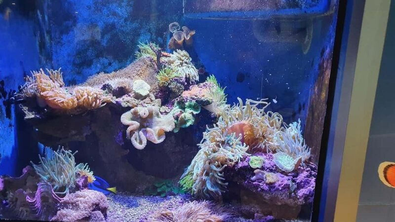 Perth: Margaret River 2-Day Wine Tour with Dolphin Cruise - Key Points