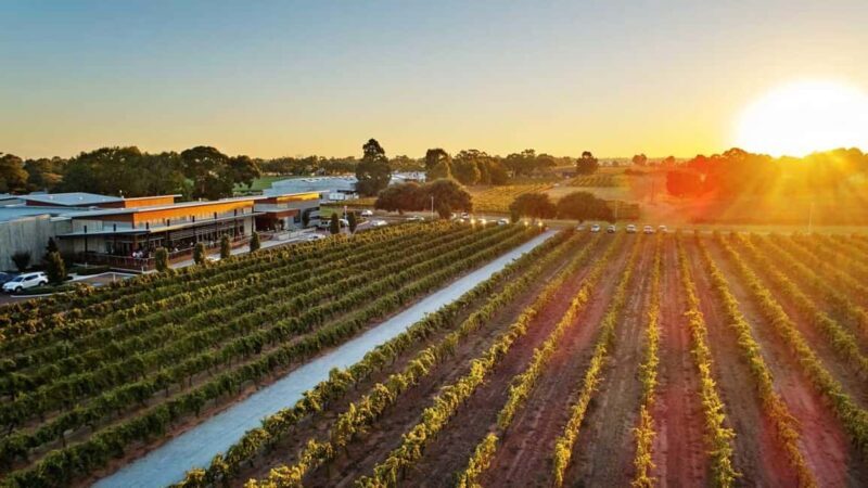 Perth: Margaret River Scenic Flight & Wine Tasting Tour - A First Look at the Experience