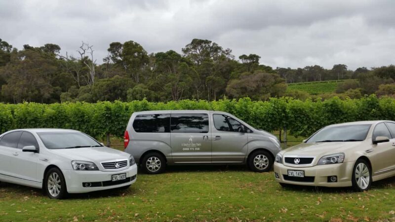 Perth: Margaret River Scenic Flight & Wine Tasting Tour - Who Should Consider This Tour?