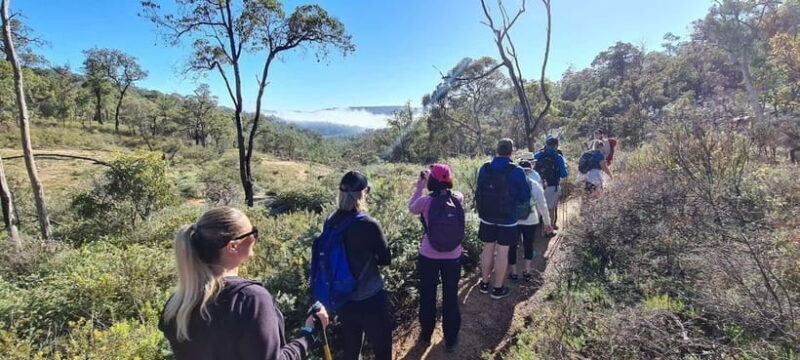 Perth: Perth Hills Hike, Wine & Dine - Perth: Perth Hills Hike, Wine & Dine – A Nature and Food Lover’s Delight
