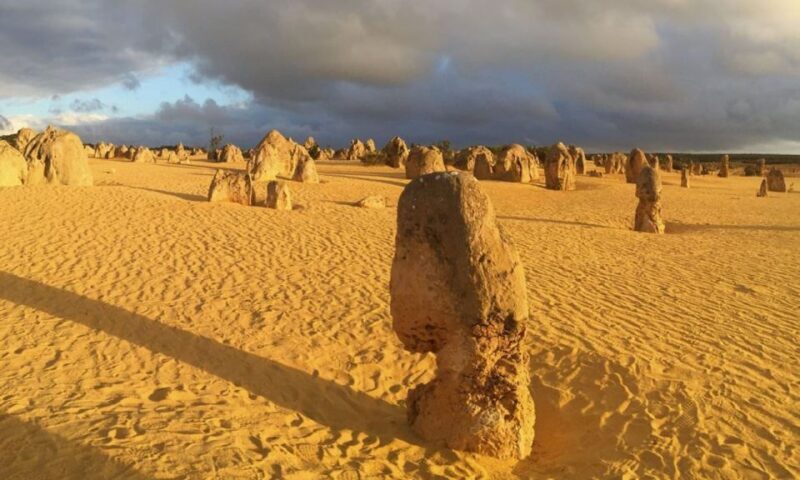 Perth: Pinnacles and Swan Valley Wine Day Tour with Lunch - The Sum Up