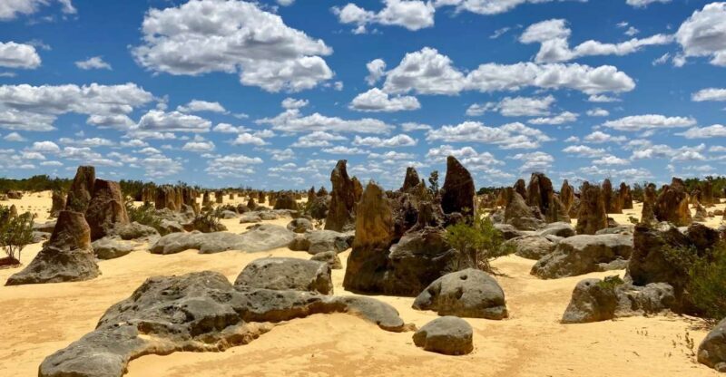 Perth: Pinnacles Desert Bush Walk Guided Tour with Lunch - Final Thoughts