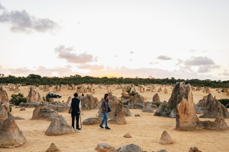 Perth: Pinnacles Desert Sunset and Stargazing with Dinner - Key Points