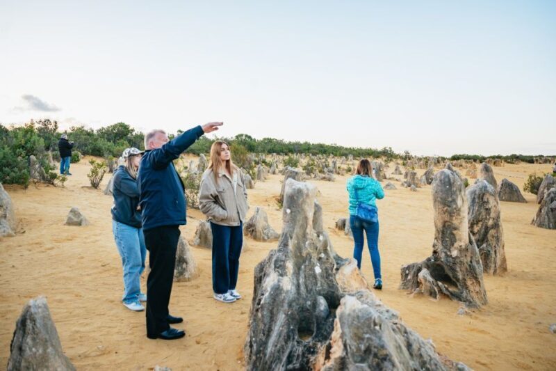 Perth: Pinnacles Desert Sunset and Stargazing with Dinner - Who Will Love This Tour?