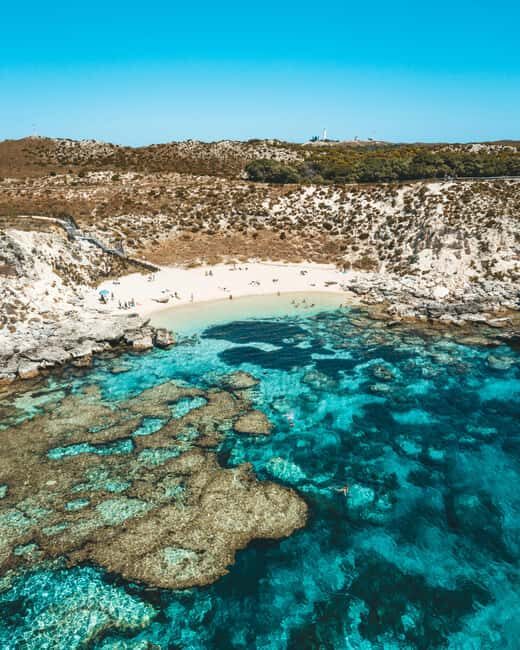 Perth: Rottnest Island Flight Transfer with Return Ferry - What to Expect: A Breakdown of Your Day