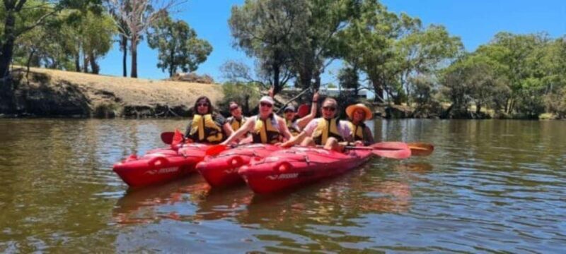 Perth: Swan River Kayak, Wine & Dine Experience - An In-Depth Look at the Swan River Kayak, Wine & Dine Tour