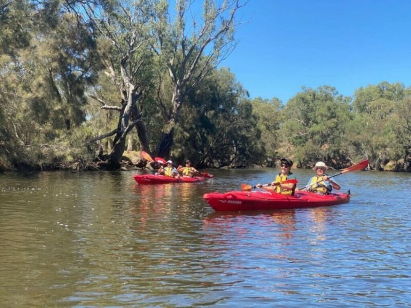 Perth: Swan River Kayaking Tour with Dining and Wine Tasting - Exploring the Swan River Kayaking Tour: An Authentic Balance of Nature and Indulgence
