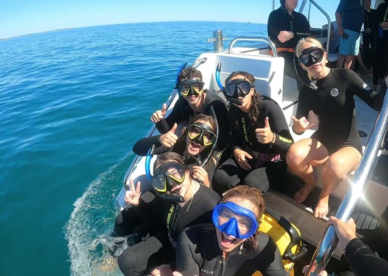 Perth: Swim with Wild Dolphins Tour - The Boat and Comfort