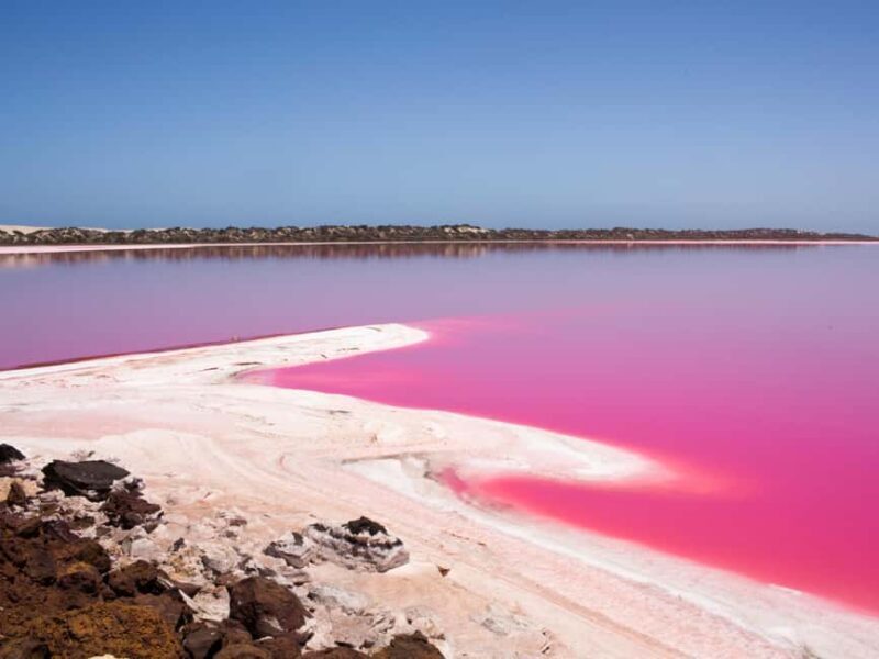 Perth to Exmouth & Return with Monkey Mia & Ningaloo Reef - Key Points