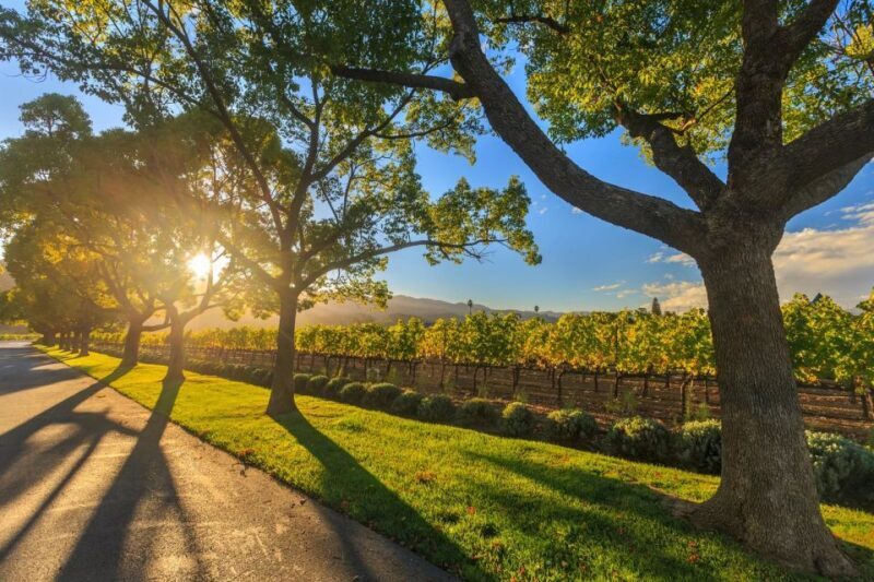 Perth VIP Swan Valley Wine Tour - Premium Small Group Tour - Who This Tour Is Perfect For