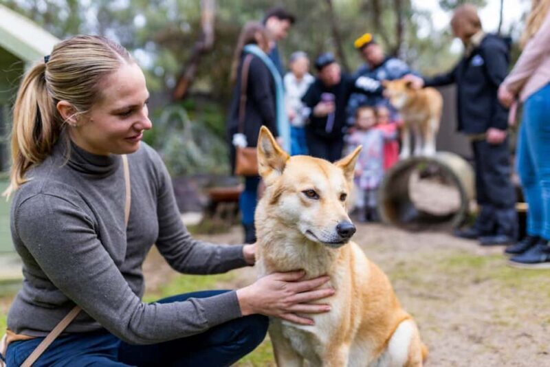 Perth: WA Wildlife Hospital and Native Fauna Encounter Tour - Final Thoughts: Is It Worth Your Time?
