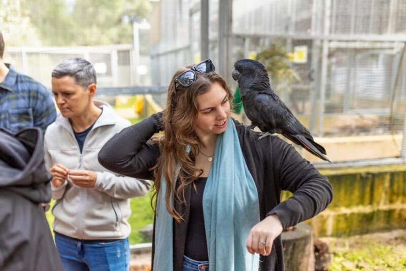 Perth: WA Wildlife Hospital and Native Fauna Encounter Tour - Frequently Asked Questions