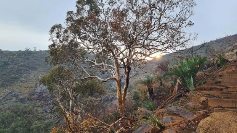 Perth: Waterfalls, Wildflowers & Wandoo Hiking Experience - A Closer Look at the Perth Waterfalls, Wildflowers & Wandoo Hiking Tour