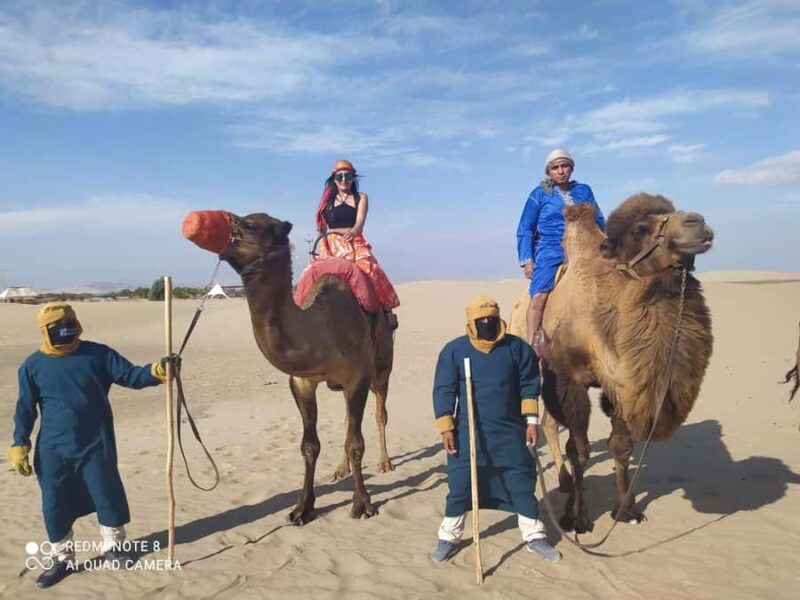 Peru: Camel Ride and Wine Tasting in the Desert - The Itinerary in Detail