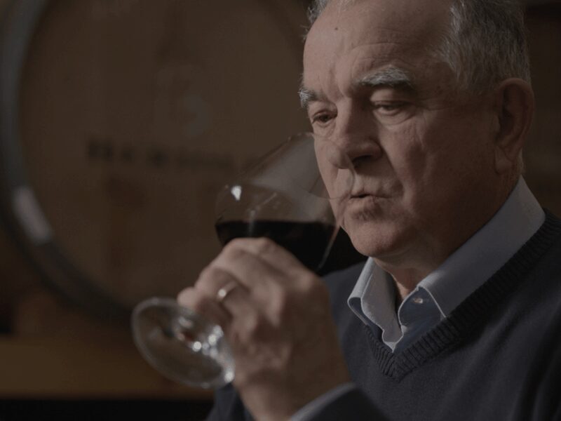 Perugia Winery Visit & Tasting near the Lake Trasimeno - Key Points