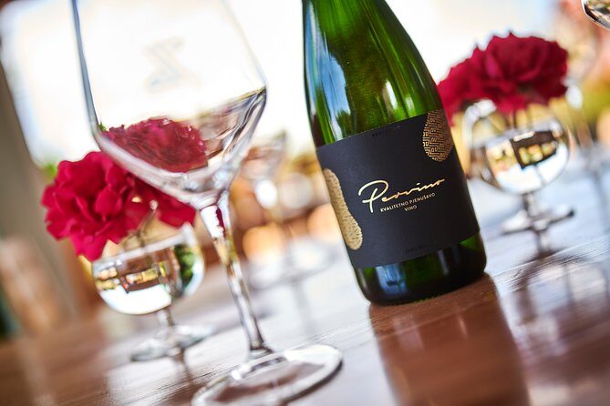 PERVINO - Wine tasting - A Genuine Look at the Pervino Wine Tasting Experience in Novigrad