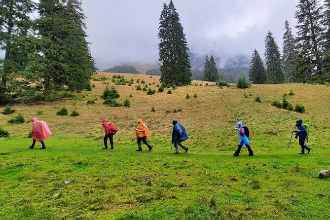 Pestera and Magura Full-Day Private Walking Tour from Brasov - An Authentic Day in the Romanian Mountains: A Detailed Review