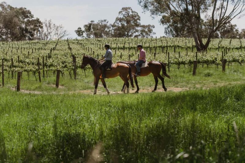 Petaluma: Horseback Riding and Wine Tasting Tour - Petaluma: Horseback Riding and Wine Tasting Tour