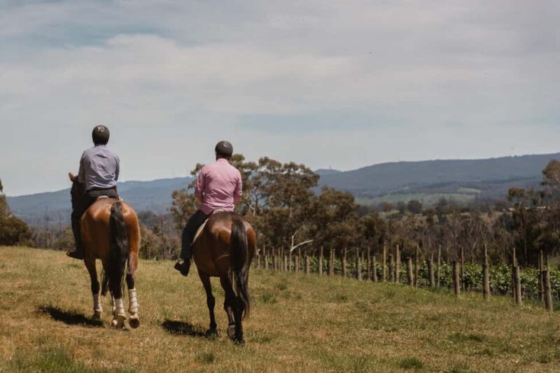 Petaluma: Horseback Riding and Wine Tasting Tour - What Makes This Tour Stand Out?