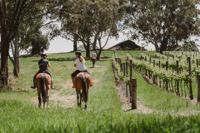 Petaluma: Romantic Private Horse Ride & Wine Tasting Package - A Charming Blend of Horseback Riding and Wine Tasting in South Australia