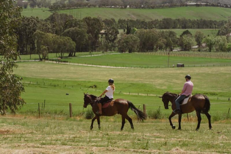 Petaluma: Romantic Private Horse Ride & Wine Tasting Package - Who Will Love This Experience?